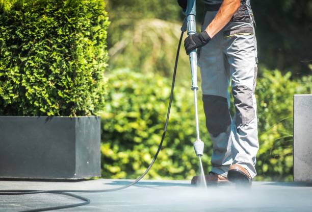 Animal Enclosure Cleaning in Berkeley, IL